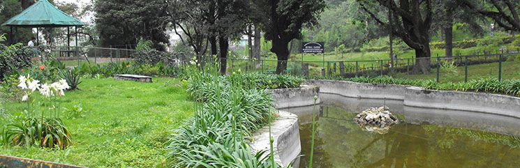 Lloyd's Botanical Garden